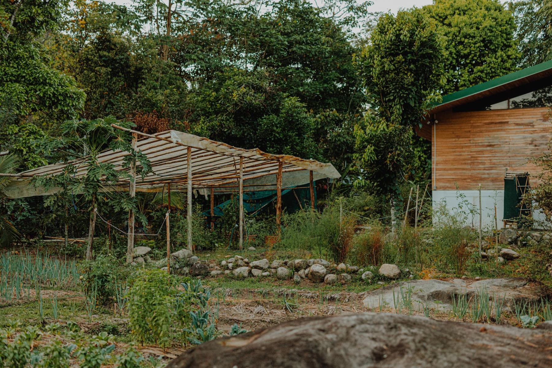 The early homestead with growing structures and garden beds