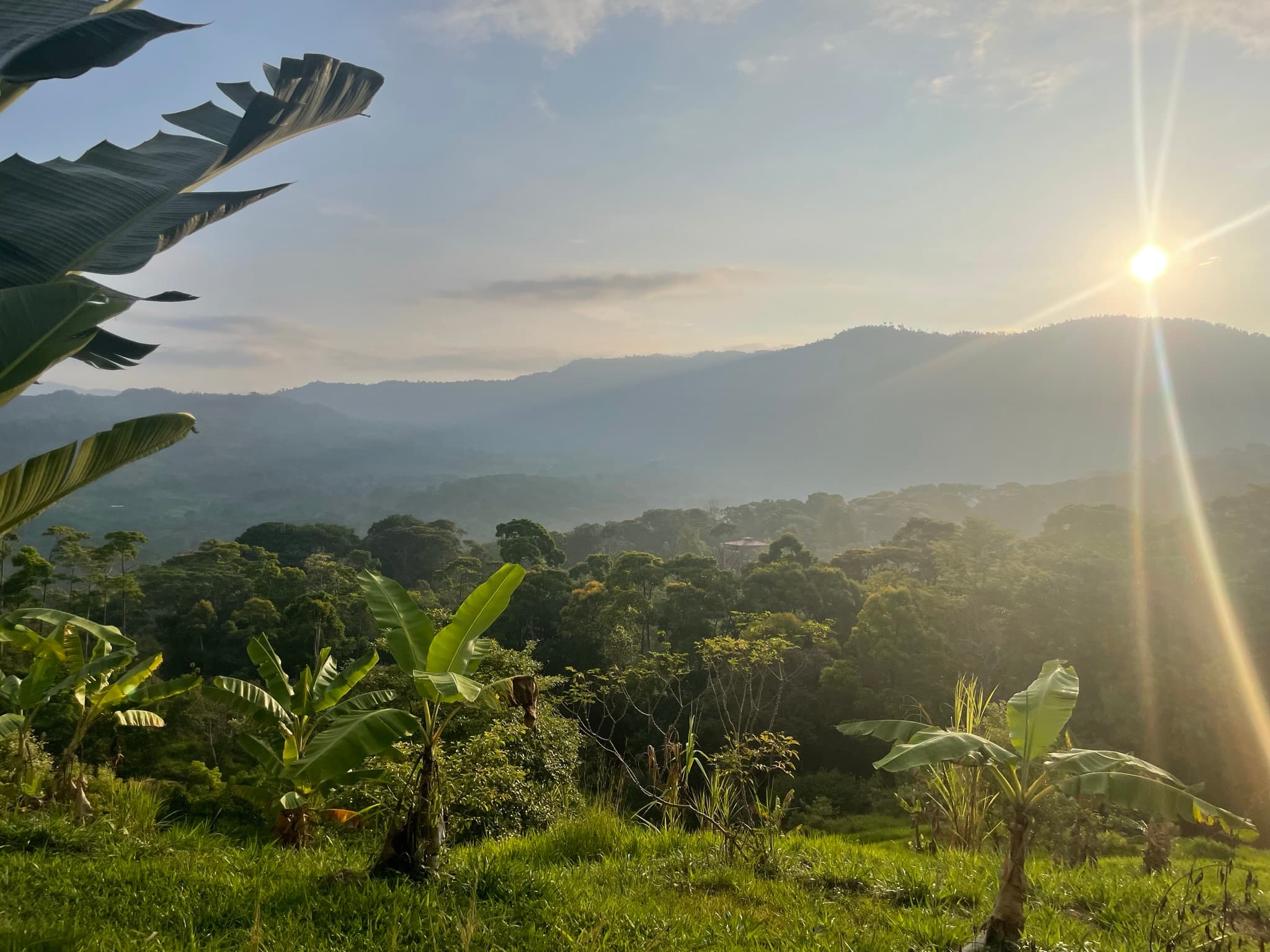 Sunrise over the forested hills above the homestead